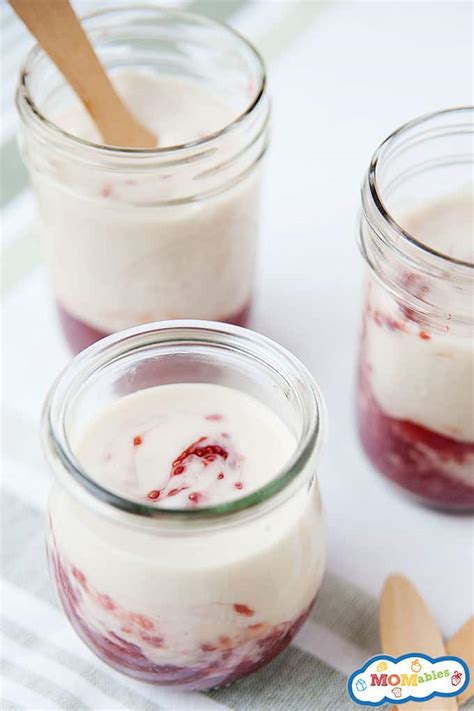 Homemade Fruit Yogurt | MOMables