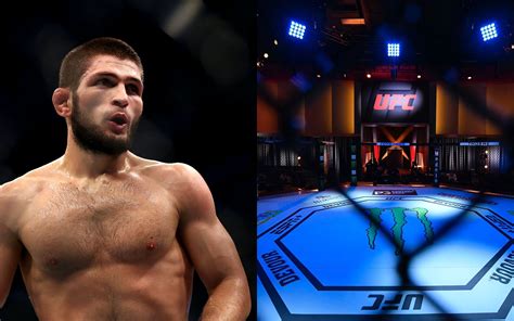 UFC's new undefeated fighter from Khabib Nurmagomedov's homeland: All you need to know