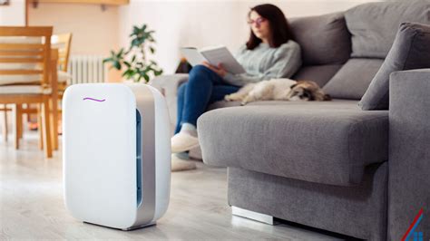 10 Benefits of Air Purifiers For Better Indoor Air Quality