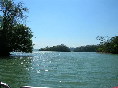 Pasqualina Barazza: Gatun Lake - Gatúnsee - Lago Gatún