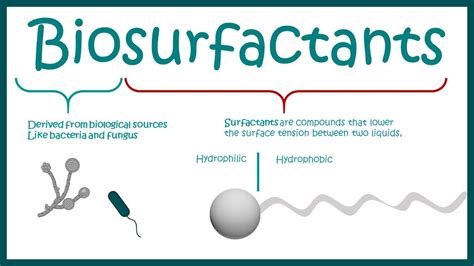 Biosurfactants and their use in human welfare - YouTube