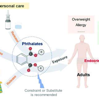 Phthalates application and the impacts on human health. Author... | Download Scientific Diagram