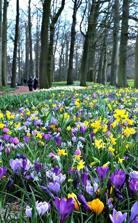 Celebrate spring in Brussels, Belgium at the Groot-Bijgaarden castle and gardens for the big ...