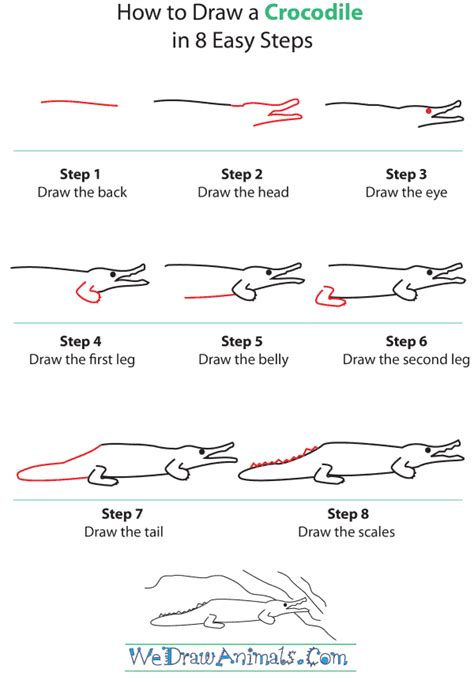 How to Draw a Crocodile