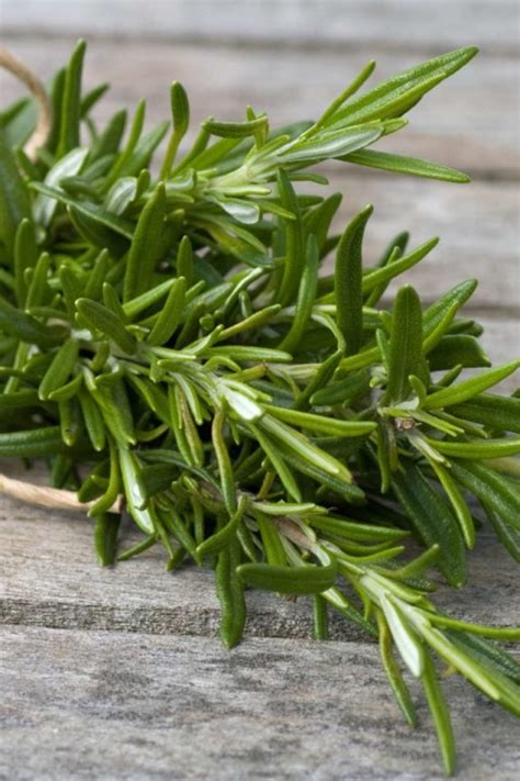 Antioxidant Activity of Rosemary Extract