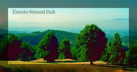 Entoto Natural Park