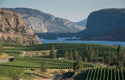 Blue Mountain Vineyard Opens Its Okanagan Falls Tasting Room For The Season – Scout Magazine