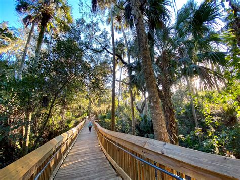 2023 Complete Guide to Hike Florida: 18 Best Hiking Trails In Florida ...