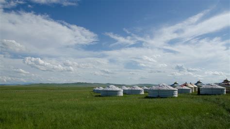 Inner Mongolia sees rising vegetation coverage of grasslands - CGTN