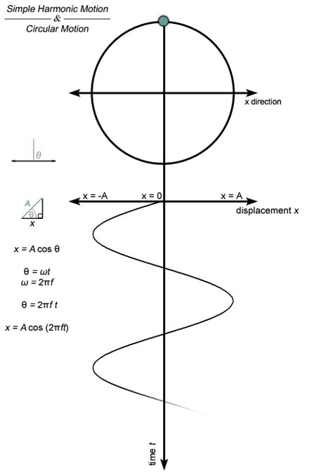 Simple Harmonic Motion Graphs - ItzelatHolmes