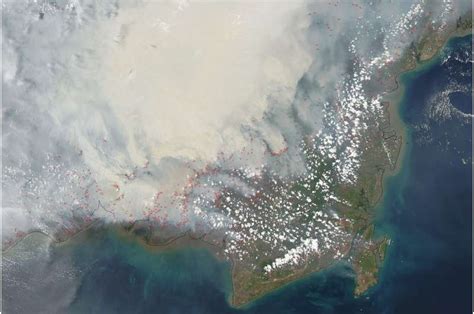 Satellites reveal peatland fire susceptibility