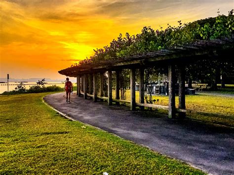 Pasir Ris Park, Singapore | Pasir Ris Park, Singapore - sadl… | Flickr