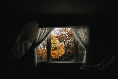 Fall View From The Window Photograph by Cavan Images / Danielle Kilgore ...