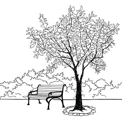 Tree And Bench In Park. Doodle Garden Landscape. Nature Background ...