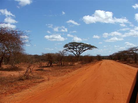 Tsavo West National Park Facts, History & Picture