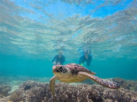 Ocean Rafting - Northern Exposure | East Coast Tours Australia