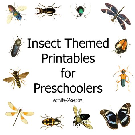 The Activity Mom - Free Preschool Insect Theme Printables and ...