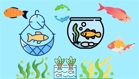 21 Benefits Of Aquaculture Farming - Advantageslist