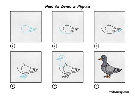 How to Draw a Pigeon - HelloArtsy