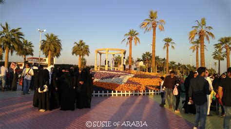 Jeddah Daily Photo: SkyWatch: Yanbu Flower Festival