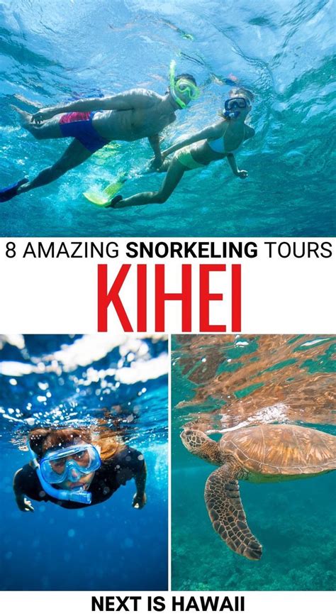 8 Kihei Snorkeling Tours Worth Your Money in 2023 | Maui snorkeling, Best snorkeling, Maui ...