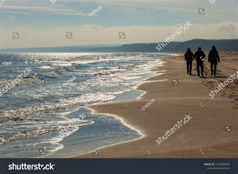 Walking On Beach People Silhouette Visual Stock Photo 1272036454 ...