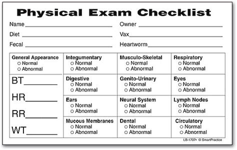 Pediatric Physical Examination Template | HQ Printable Documents