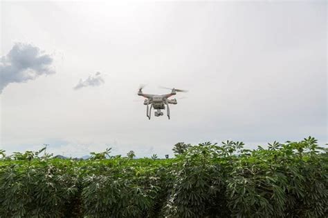 ai-drones-agriculture-industry - ITChronicles