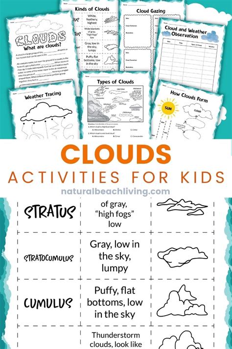 Types Of Clouds Worksheet - Printable Templates Free