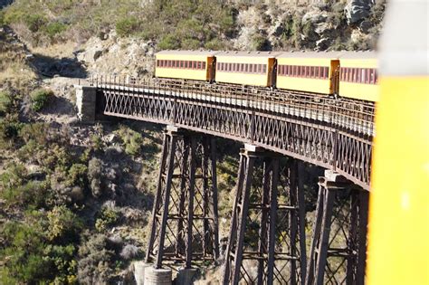 Taieri Gorge Railway and the Otago Peninsula Tour from Dunedin 2022 - Dunedin & The Otago Peninsula