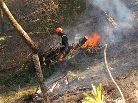 Fire restrictions for Kamloops Fire Centre to be put in place ahead of May long weekend ...