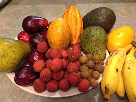 Tropical fruits, guyabano, lychees, avocado, papaya, cacao and macopa. | Tropical fruits, Fruit ...