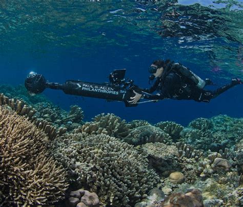 How Artificial Intelligence and 360-Cameras Are Helping to Save Coral Reefs