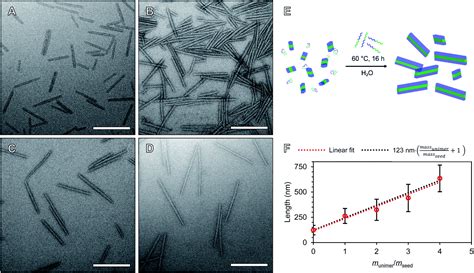 Stealth nanorods via the aqueous living crystallisation-driven self ...