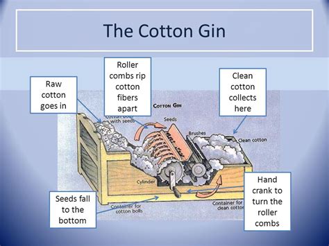 Cotton Gin Definition In History at Kirk Seese blog