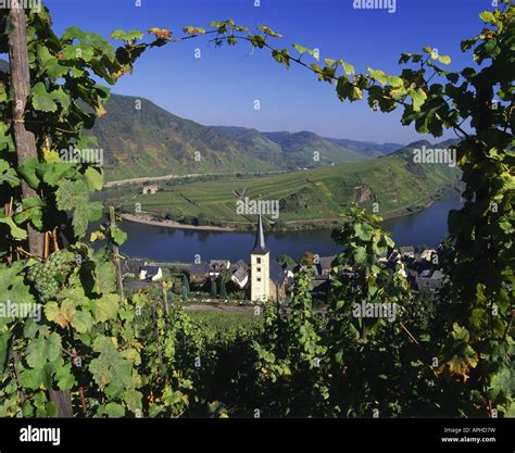 Bremm an der mosel hi-res stock photography and images - Alamy