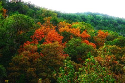 Hiking Lost Maples: A Video Tour of This Texas State Natural Area