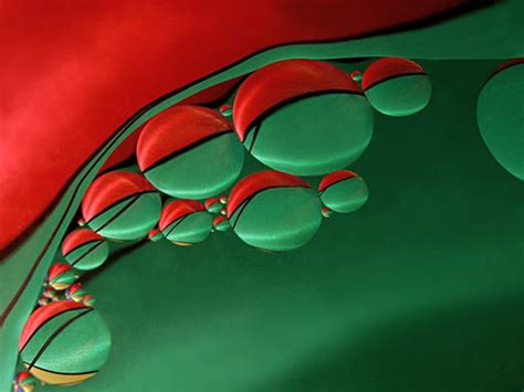 Red and Green by Jean - DPChallenge | Red green, Complimentary colors ...