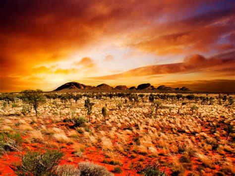 Australia landscape, Landscape wallpaper, Desert landscaping