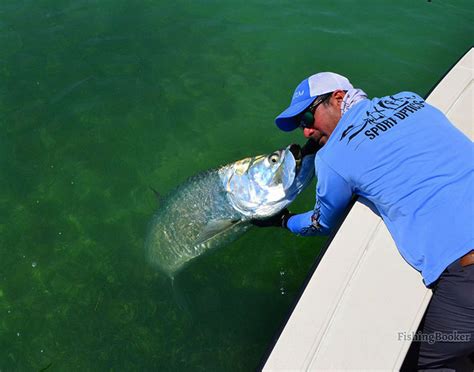 Best Fishing Spots in Miami To Explore This Fall