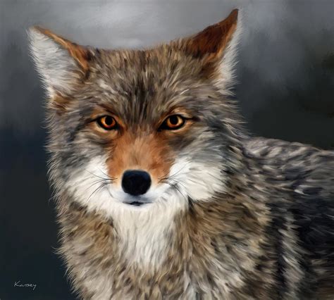 Coyote Painting by Johanne Dauphinais - Pixels