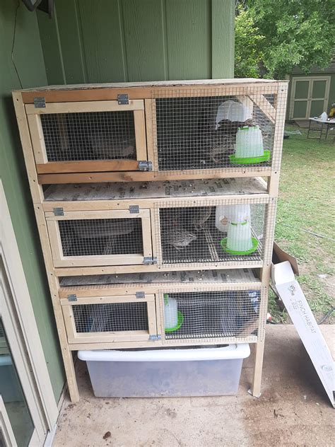 Finally finished my stacked quail hutch. I think they like it : r ...