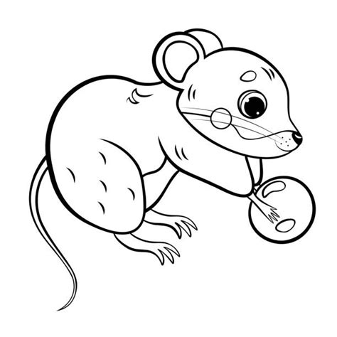 Vole Drawing Illustrations, Royalty-Free Vector Graphics & Clip Art ...