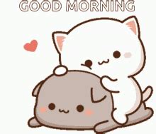 Good Morning Cute Gif GIF – Good Morning Cute Gif – discover and share GIFs