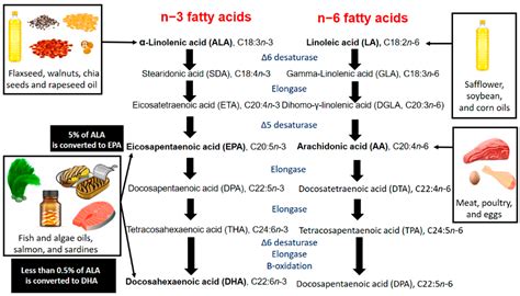 Nutrients | Free Full-Text | Beyond Fish Oil Supplementation: The Effects of Alternative Plant ...