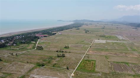 Aerial view agriculture land of Kuala Muda, Kedah 22935594 Stock Video at Vecteezy