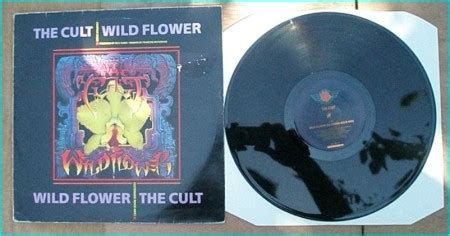 The CULT: Wild Flower 12" All 3 versions are exclusive to this release ...