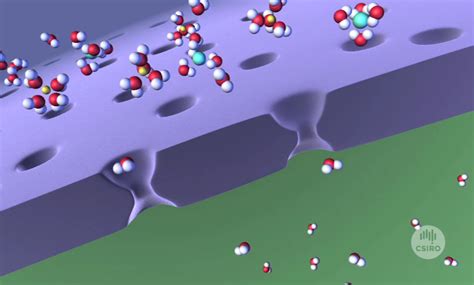 Novel Polymer Membrane Mimics Nature (2007) – CSIROpedia