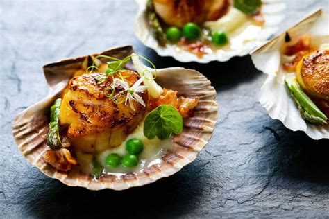 Gordon Ramsay Scallops Recipe | Food14