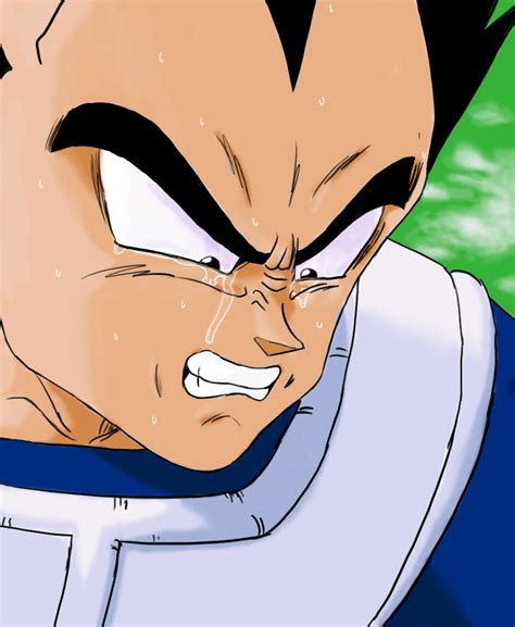 crying vegeta by Crying-Vegeta on DeviantArt